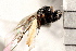 ( - CGTURK-0010)  @11 [ ] CreativeCommons - Attribution (2008) Unspecified Centre for Biodiversity Genomics