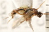  ( - CGTURK-0094)  @12 [ ] CreativeCommons - Attribution (2008) Unspecified Centre for Biodiversity Genomics