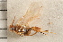 ( - CGTURK-0097)  @11 [ ] CreativeCommons - Attribution (2008) Unspecified Centre for Biodiversity Genomics