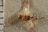  ( - CGTURK-0098)  @11 [ ] CreativeCommons - Attribution (2008) Unspecified Centre for Biodiversity Genomics