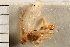  ( - CGTURK-0100)  @11 [ ] CreativeCommons - Attribution (2008) Unspecified Centre for Biodiversity Genomics