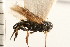  ( - CGTURK-0251)  @11 [ ] CreativeCommons - Attribution (2008) Unspecified Centre for Biodiversity Genomics