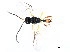  ( - CGTURK-0751)  @11 [ ] Unspecified (default): All Rights Reserved  Unspecified Unspecified