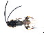  ( - CGTURK-0772)  @12 [ ] Unspecified (default): All Rights Reserved  Unspecified Unspecified