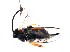  ( - CGTURK-0775)  @12 [ ] Unspecified (default): All Rights Reserved  Unspecified Unspecified