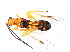  ( - CGTURK-0804)  @12 [ ] Unspecified (default): All Rights Reserved  Unspecified Unspecified