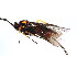  ( - CGTURK-0807)  @12 [ ] Unspecified (default): All Rights Reserved  Unspecified Unspecified