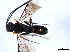  ( - CGTURK-0821)  @12 [ ] Unspecified (default): All Rights Reserved  Unspecified Unspecified