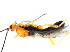 ( - CGTURK-0827)  @12 [ ] Unspecified (default): All Rights Reserved  Unspecified Unspecified