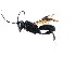  ( - CGTURK-0940)  @12 [ ] Unspecified (default): All Rights Reserved  Unspecified Unspecified