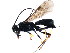  ( - CGTURK-0941)  @13 [ ] Unspecified (default): All Rights Reserved  Unspecified Unspecified