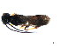  ( - CGTURK-0948)  @12 [ ] Unspecified (default): All Rights Reserved  Unspecified Unspecified