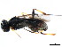  ( - CGTURK-0950)  @12 [ ] Unspecified (default): All Rights Reserved  Unspecified Unspecified