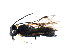  ( - CGTURK-0958)  @12 [ ] Unspecified (default): All Rights Reserved  Unspecified Unspecified