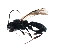  ( - CGTURK-0959)  @12 [ ] Unspecified (default): All Rights Reserved  Unspecified Unspecified