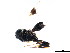  ( - CGTURK-0988)  @11 [ ] Unspecified (default): All Rights Reserved  Unspecified Unspecified