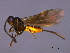  ( - CGTURK-1531)  @12 [ ] CreativeCommons - Attribution (2009) Unspecified Centre for Biodiversity Genomics