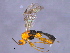  ( - CGTURK-1562)  @12 [ ] CreativeCommons - Attribution (2009) Unspecified Centre for Biodiversity Genomics