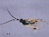  ( - CGTURK-1588)  @12 [ ] CreativeCommons - Attribution (2009) Unspecified Centre for Biodiversity Genomics