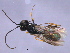  ( - CGTURK-1599)  @12 [ ] CreativeCommons - Attribution (2009) Unspecified Centre for Biodiversity Genomics