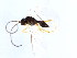  ( - CGTURK-1031.FAIL1)  @12 [ ] Unspecified (default): All Rights Reserved  Unspecified Unspecified