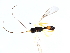  ( - CGTURK-1068)  @13 [ ] Unspecified (default): All Rights Reserved  Unspecified Unspecified