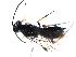  ( - CGTURK-1084)  @12 [ ] Unspecified (default): All Rights Reserved  Unspecified Unspecified