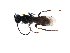  ( - CGTURK-1085)  @12 [ ] Unspecified (default): All Rights Reserved  Unspecified Unspecified
