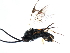  ( - CGTURK-1109)  @12 [ ] Unspecified (default): All Rights Reserved  Unspecified Unspecified