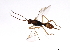  ( - CGTURK-1245)  @12 [ ] CreativeCommons - Attribution (2009) Unspecified Centre for Biodiversity Genomics