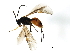  ( - CGTURK-1482)  @13 [ ] CreativeCommons - Attribution (2009) Unspecified Centre for Biodiversity Genomics