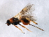  ( - CGTURK-1602)  @12 [ ] CreativeCommons - Attribution (2009) Unspecified Centre for Biodiversity Genomics