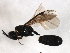  ( - CGTURK-1650)  @12 [ ] CreativeCommons - Attribution (2009) Unspecified Centre for Biodiversity Genomics