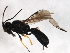  ( - CGTURK-1655)  @11 [ ] CreativeCommons - Attribution (2009) Unspecified Centre for Biodiversity Genomics