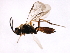  ( - CGTURK-1669)  @13 [ ] CreativeCommons - Attribution (2009) Unspecified Centre for Biodiversity Genomics