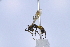  ( - UUPomp_198)  @11 [ ] CreativeCommons - Attribution Share-Alike (2025) Jeremy Blaschke Union University