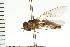  ( - CGDTA-042)  @13 [ ] CreativeCommons - Attribution (2009) Unspecified Centre for Biodiversity Genomics