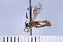  ( - ATBI000015607)  @11 [ ] Copyright (2022) Jeremy Blaschke Union University