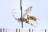  ( - ATBI000015663)  @11 [ ] Copyright (2022) Jeremy Blaschke Union University