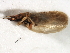 ( - CGHTA-052)  @11 [ ] CreativeCommons - Attribution (2009) Unspecified Centre for Biodiversity Genomics
