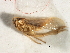  ( - CGHTA-065)  @12 [ ] CreativeCommons - Attribution (2009) Unspecified Centre for Biodiversity Genomics
