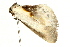  ( - UKLB1D01)  @12 [ ] CreativeCommons - Attribution (2009) Unspecified Centre for Biodiversity Genomics