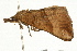  ( - UKLB1E08)  @13 [ ] CreativeCommons - Attribution (2009) Unspecified Centre for Biodiversity Genomics