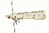  ( - UKLB1H09)  @11 [ ] CreativeCommons - Attribution (2009) Unspecified Centre for Biodiversity Genomics