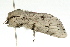  ( - UKLB2A06)  @12 [ ] CreativeCommons - Attribution (2009) Unspecified Centre for Biodiversity Genomics