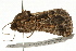  ( - UKLB2C10)  @11 [ ] CreativeCommons - Attribution (2009) Unspecified Centre for Biodiversity Genomics