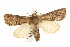  ( - UKLB2D09)  @11 [ ] CreativeCommons - Attribution (2009) Unspecified Centre for Biodiversity Genomics