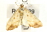  ( - UKLB2E07)  @13 [ ] CreativeCommons - Attribution (2009) Unspecified Centre for Biodiversity Genomics