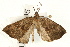  ( - UKLB2F05)  @13 [ ] CreativeCommons - Attribution (2009) Unspecified Centre for Biodiversity Genomics