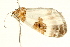  ( - UKLB2G12)  @12 [ ] CreativeCommons - Attribution (2009) Unspecified Centre for Biodiversity Genomics